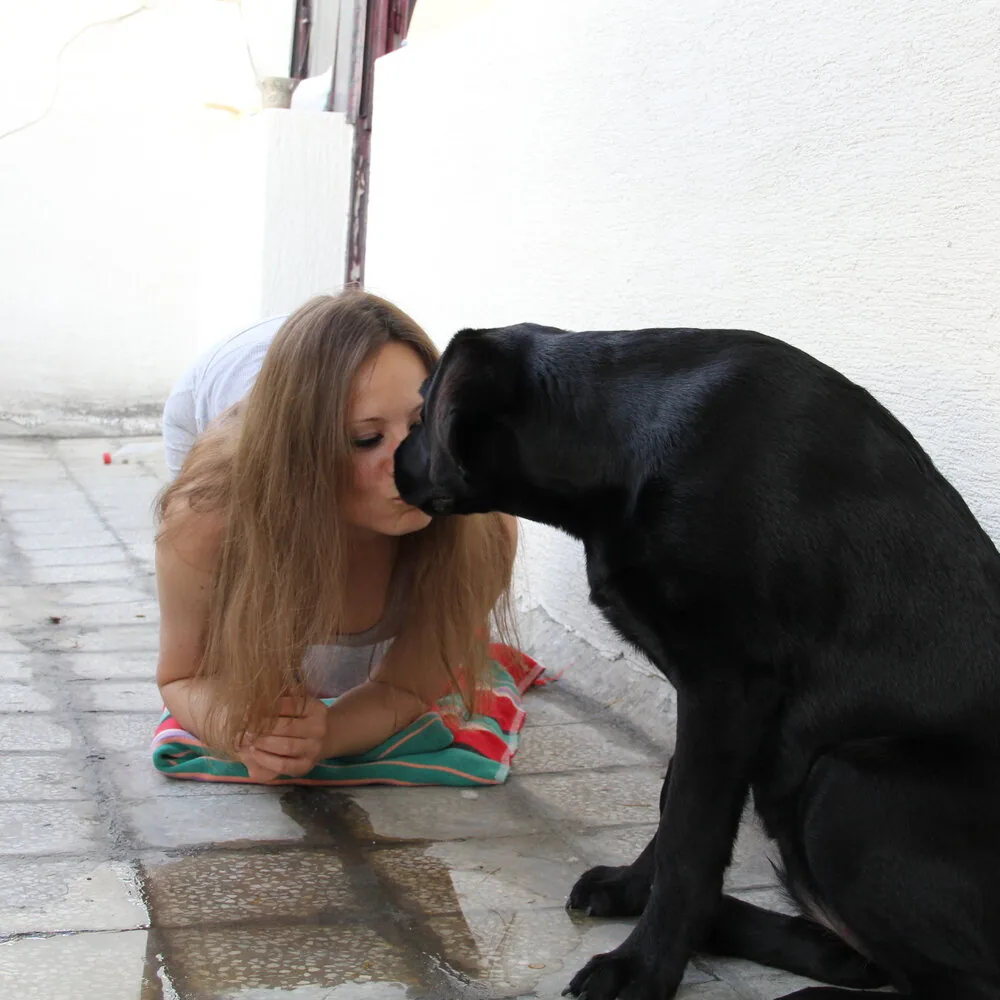 Vlasnica i crni labrador nos u nos