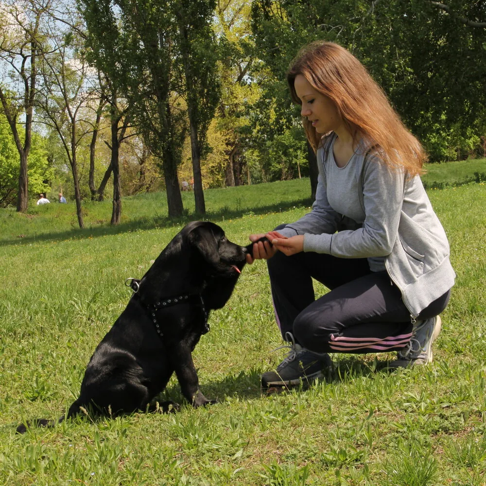 Vlasnica hrani crno štene poslasticom u parku